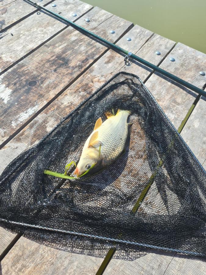 Dworek Ogrodniki, Caloroczny Dom Na Wylacznosc, Basen, Sauna, Las, Staw Rybny, Altana Grillowa, Ognisko, Pianino, Kominek, Piec Chlebowy, Duza Ogrodzona Posesja Tuczna Ngoại thất bức ảnh
